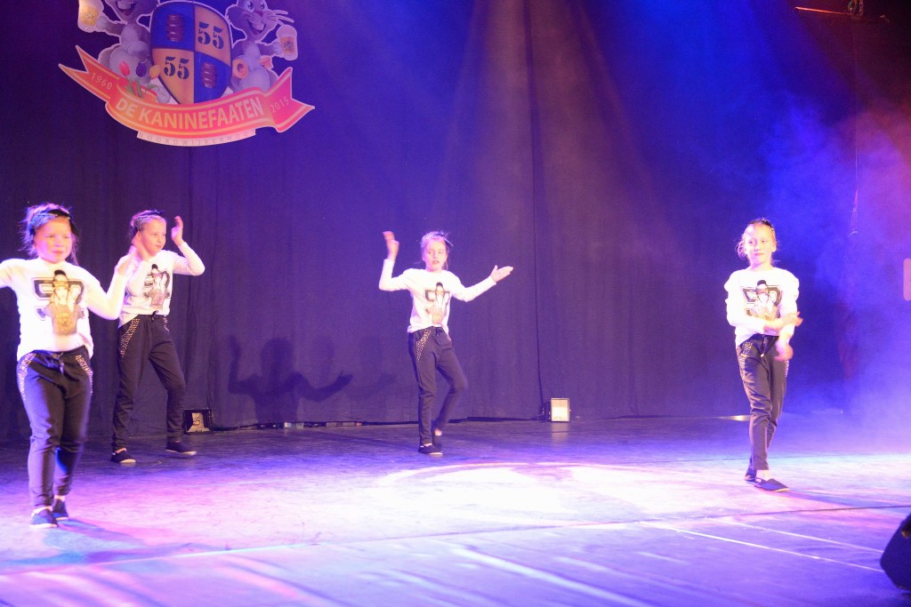 ../Images/Dansmarieke festival 2015 362.jpg